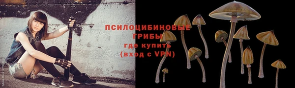 ECSTASY Лихославль