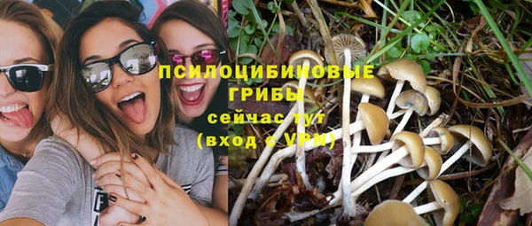 гидропоника Липки