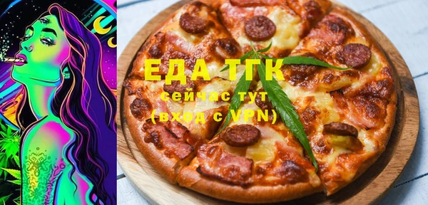 индика Бронницы
