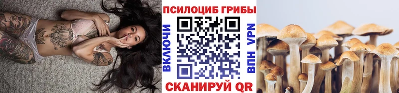 кракен как зайти  Малмыж  Псилоцибиновые грибы мицелий 
