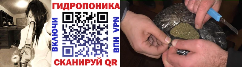 МАРИХУАНА планчик  Малмыж 